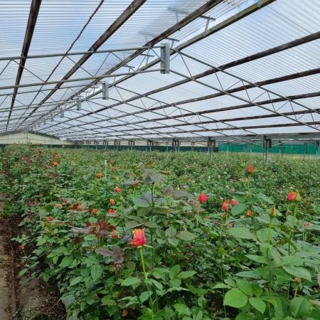 279005570_471899311349878_3799734810204214047_n (1)