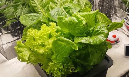 334286924_535412025134885_4789771429342389588_n