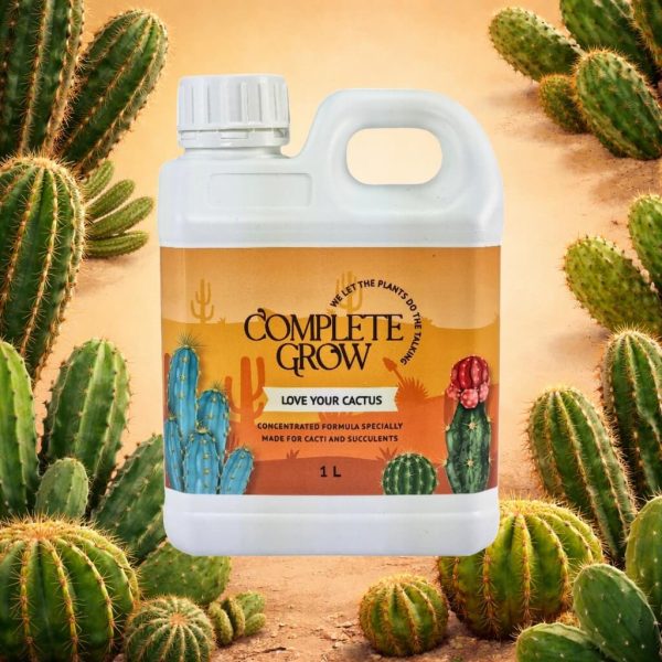 Cactus Succulent Plant Food Fertiliser Concentrate