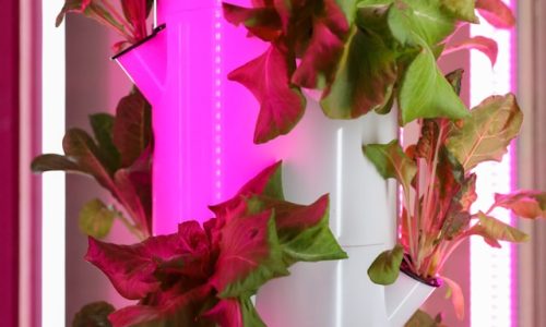 mick-haupt-sD-gJzsrQt4-unsplash