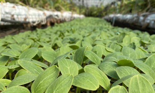 257364743_633467087968794_5183153319080066555_n (2)