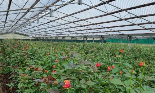 279005570_471899311349878_3799734810204214047_n