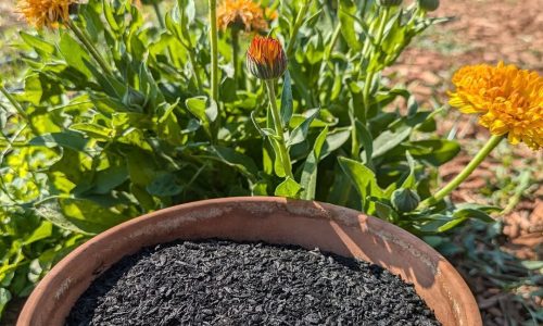 531011580_1195141692651163_9195826074024188151_n 531011580_1195141692651163_9195826074024188151_n