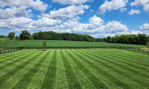 473778791_1136345087861395_3199168153974700629_n (1)