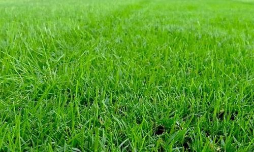 482325847_1064710485700669_7357504049149303408_n (1)