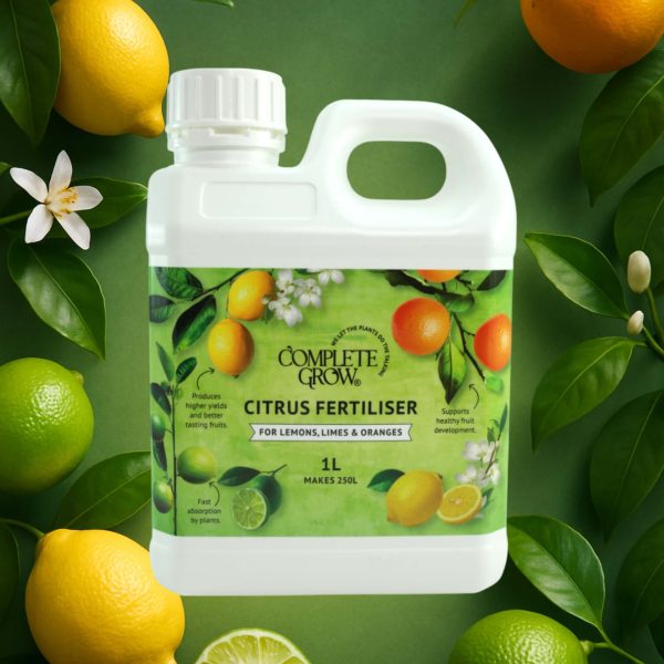 🍋NEW🍋‍🟩 Citrus Fertiliser – Lemon, Lime & Orange Tree - NPK 6-2-12 + Trace Elements