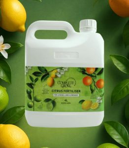 How to Prune Citrus Trees: Best Time & Techniques for Healthy Growth ...