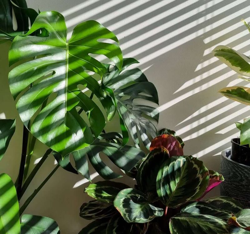 621665810_18110017792629619_3613968741871198619_n 621665810_18110017792629619_3613968741871198619_n