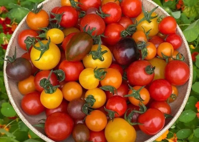 622270600_18094855516940558_5090812208223500069_n