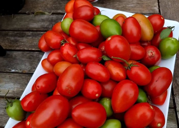 622682134_18100369558681512_4890598775216320487_n