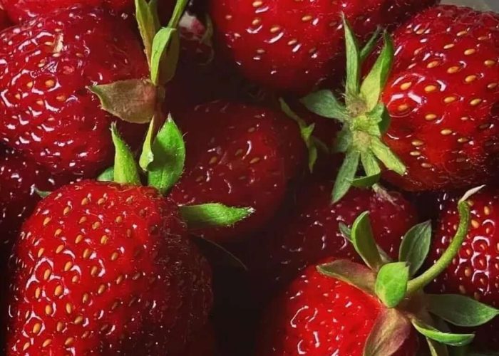 623220814_18051709031461786_5688409402980469721_n