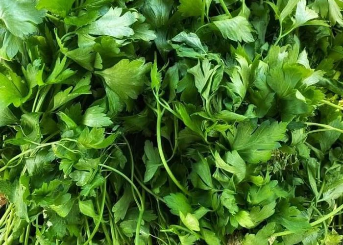 632740788_18445491943104950_7967301314675976549_n