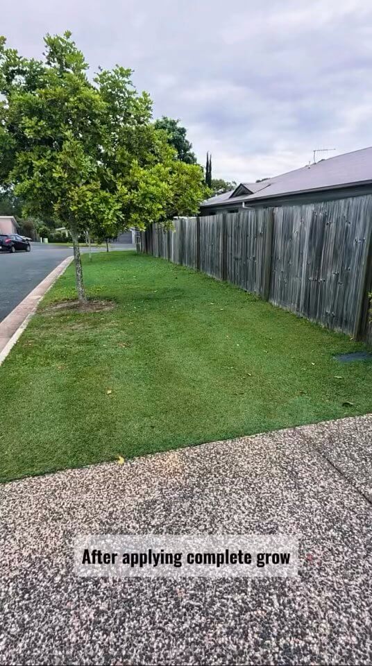 Customer lawn after one month using CompleteGrow Lawn Fertiliser