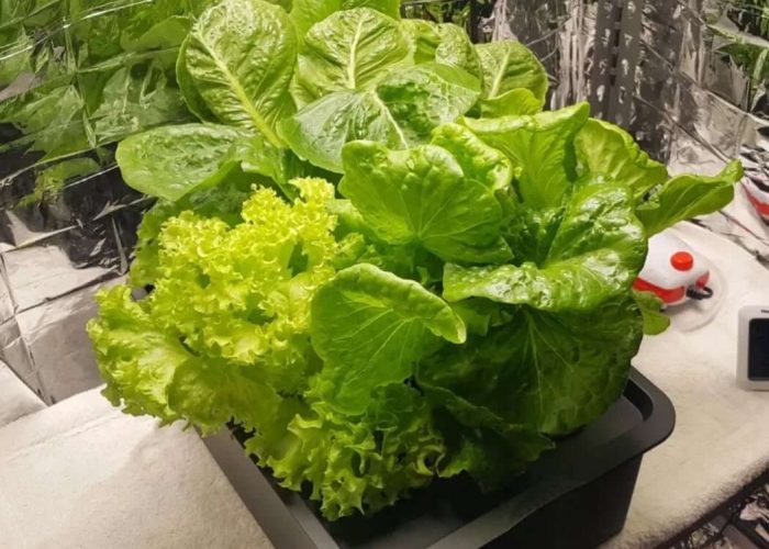 652749483_18076706714130594_3563227595373543799_n