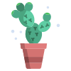 Architectural succulent icon
