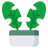 Indoor foliage icon