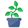 Indoor plant icon