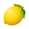 Citrus icon
