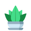 Aloe icon
