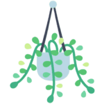 Trailing indoor plant icon