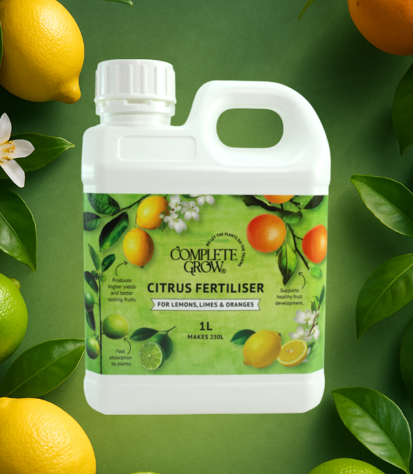 Citrus fertiliser and NPK plant nutrition by CompleteGrow
