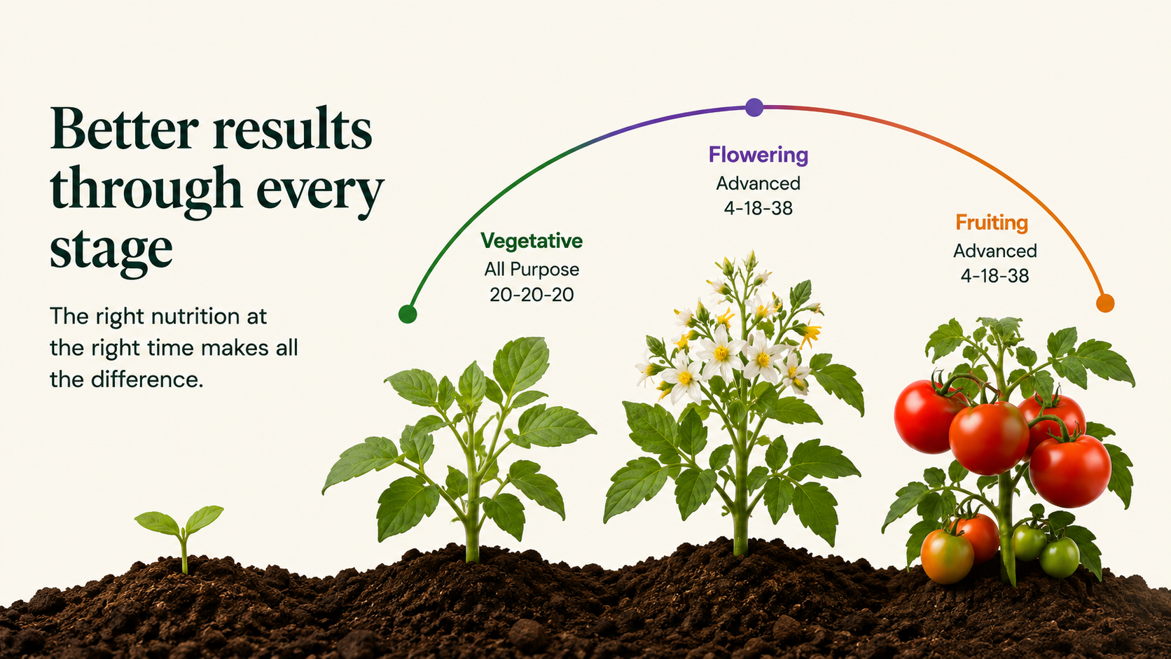 CompleteGrow feeding guide showing vegetative, flowering and fruiting stages with the recommended fertiliser for each stage