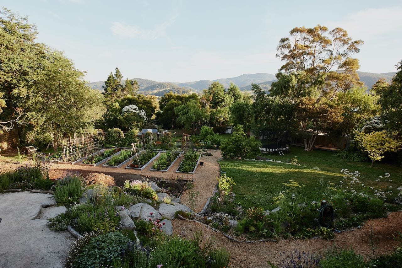 Large garden with established trees, productive vegetable beds, fruit trees, flowers and ornamental plants