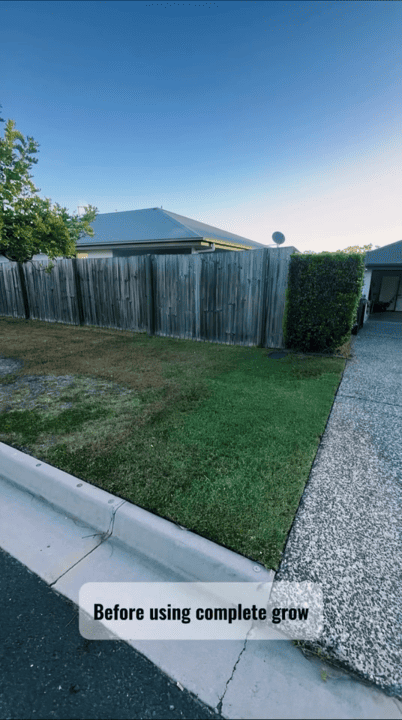 Customer lawn before using CompleteGrow Lawn Fertiliser