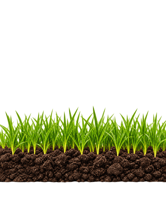 Thicker lawn coverage