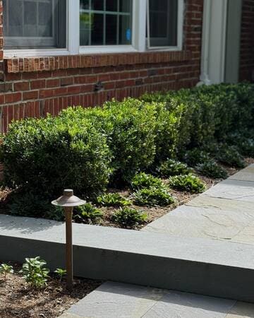 A clipped Buxus hedge bordering a garden path