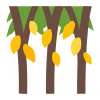 Citrus tree
