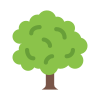 Outdoor plants