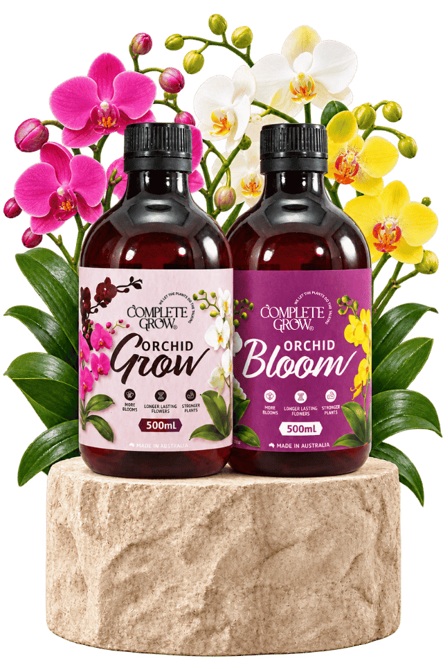 Orchid Grow and Orchid Bloom orchid fertiliser bottles on a stone pedestal with pink, white and yellow orchids