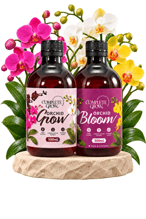 CompleteGrow Orchid Grow and Orchid Bloom 500 mL liquid orchid fertilisers