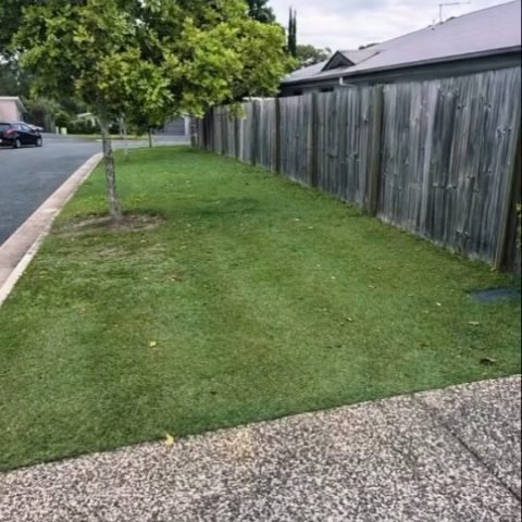 From dead to alive🌱 Premium nutrients makes all the difference. @dans_lawn_and_renovations CompleteGrow Lawn Grow.…
