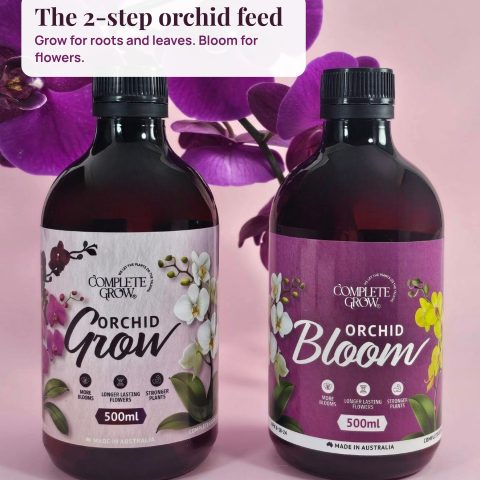 Meet Orchid Grow & Orchid Bloom: the 2-step orchid feed, made in Australia 🌸…
